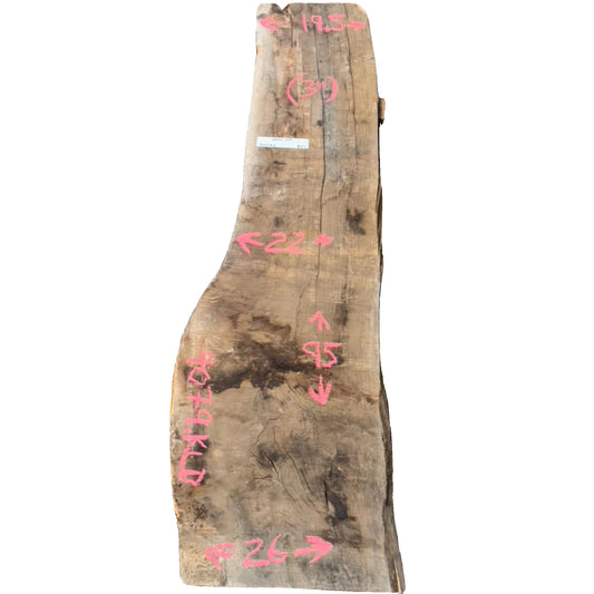 White Oak Live Edge Slab 4079.KLD