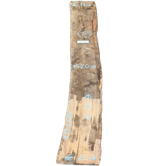 White Oak Live Edge Slab 3859.KLD