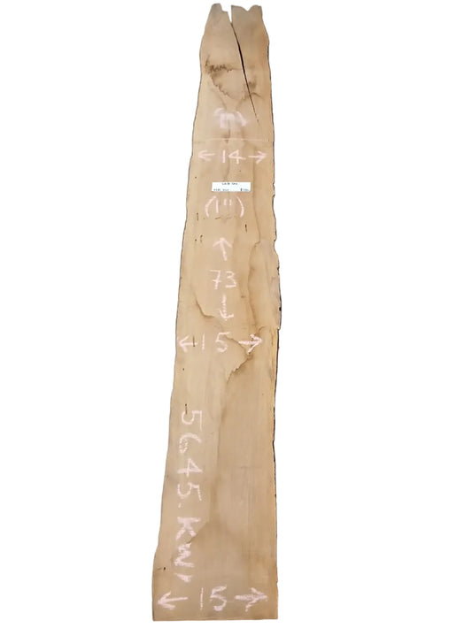 White Oak Live Edge Slab 5645.KWI