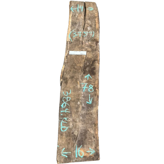 White Oak Live Edge Slab 3864.KLD