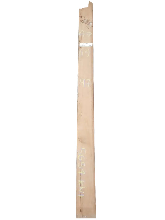 White Oak Rough Sawn Lumber 5654.KWI